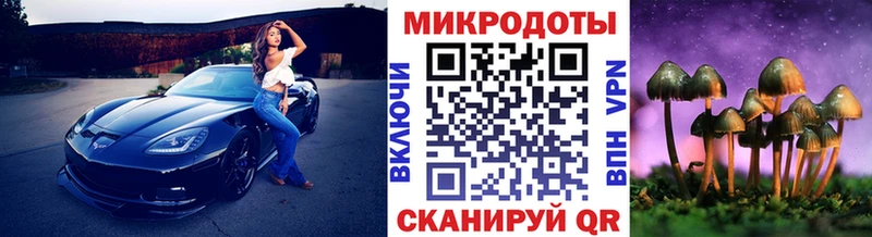 Галлюциногенные грибы мухоморы  Ядрин 